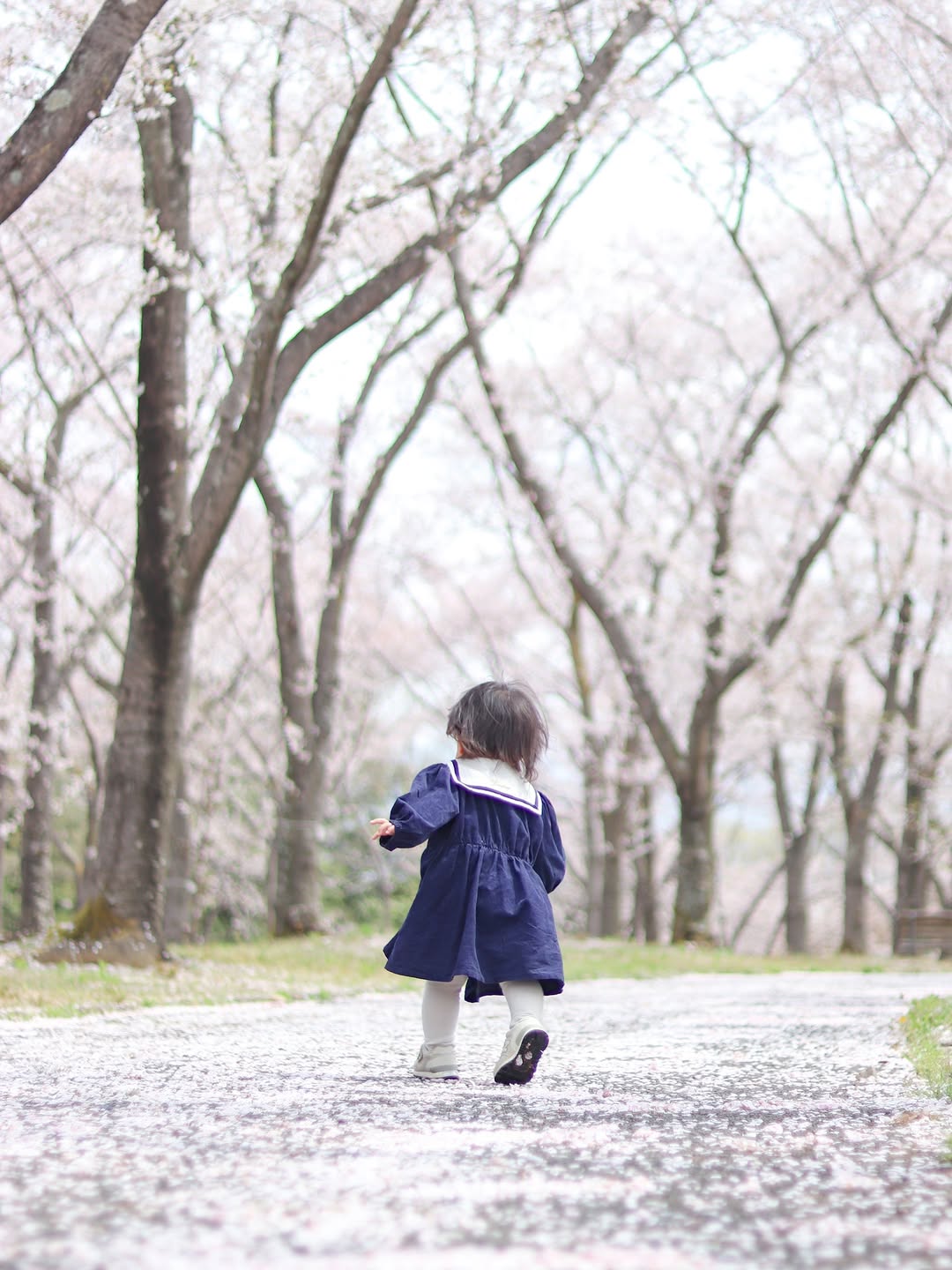 photo202606_優秀賞1