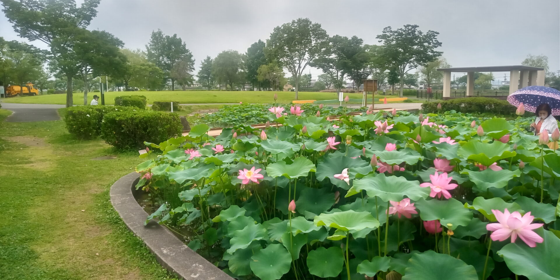 ところどころに設置された休憩所のほか芝生広場も